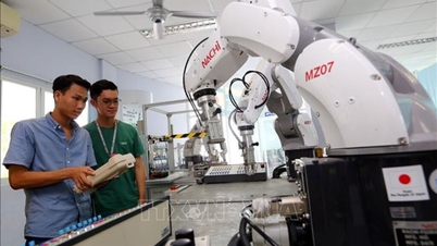 Университетам необходимо понимать новую политику, чтобы стать пионерами в развитии науки и технологий.