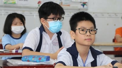 Hơn 4.800 học sinh làm khảo sát để tranh suất vào lớp 6 Trường Trần Đại Nghĩa