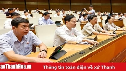 Quốc hội chính thức thông qua việc sửa đổi, bổ sung một số điều của Hiến pháp
