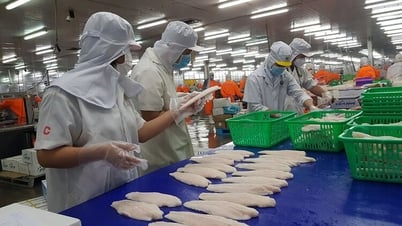 Xây dựng An Giang mới trở thành trung tâm nông nghiệp của vùng