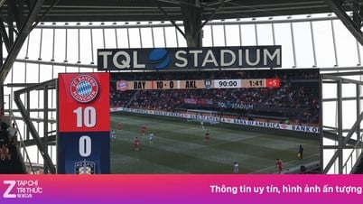 Auckland City thua Bayern 0-10, trợ lý HLV Vicelich nói gì