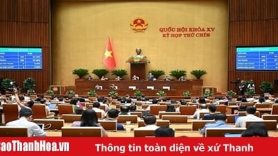 Luật mới đã “điểm mặt chỉ tên” nghệ sĩ quảng cáo sai sự thật