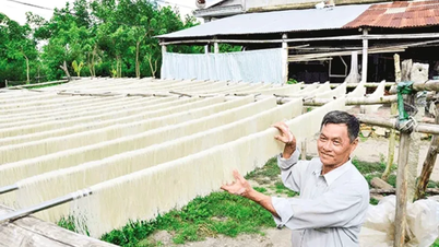Chuyện sợi hủ tiếu ở Tân Hà B...