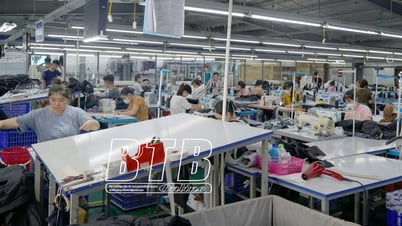 Thai Hung: Promoviendo el desarrollo económico