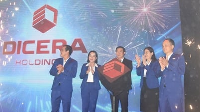 Announcing the new brand look of DICERA Holdings