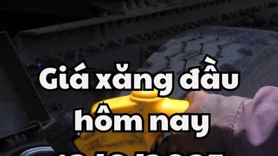 Giá xăng dầu hôm nay 16/6/2025: Xăng RON 95-V giữ mức cao nhất