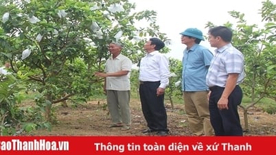 ការ​យក​ដី​ដែល​បាត់​បង់​មក​វិញ​នៅ​មាត់​ភ្នំ​ដួង​ឡាង