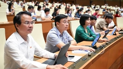 Người có ảnh hưởng không được quảng cáo nếu chưa dùng, hiểu sản phẩm