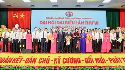 មហាសន្និបាតលើកទី៦ នៃគណៈកម្មាធិការមជ្ឈិមបក្សនៃធនាគារវៀតណាមសម្រាប់គោលនយោបាយសង្គមបានទទួលជោគជ័យយ៉ាងត្រចះត្រចង់។