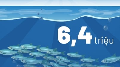 6,4 triệu - là số lượng con giống thủy sản được thả trên toàn tỉnh từ đầu năm đến nay