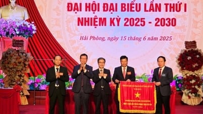 តំបន់សេដ្ឋកិច្ច Hai Phong បន្តអះអាងតួនាទីរបស់ខ្លួនជាក្បាលរថភ្លើង និងជំរុញកំណើន