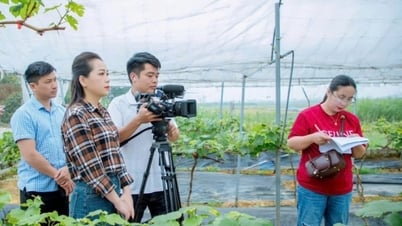 Những “người bạn đời” cùng một đam mê