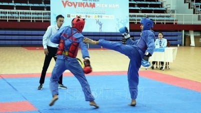 Vovinam Cần Thơ khẳng định vị trí tốp đầu cả nước