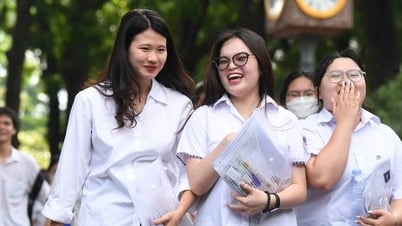 Tien Giang ប្រកាស​ពិន្ទុ​ប្រឡង​ចូល​ថ្នាក់​ទី​១០ តំណ​ស្វែង​រក​បេក្ខជន