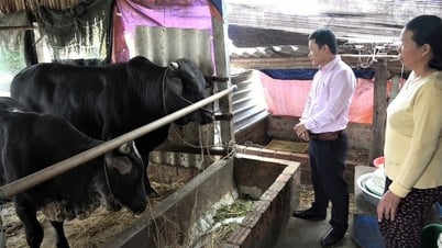 Lan tỏa hoạt động tín dụng chính sách ở Hội An