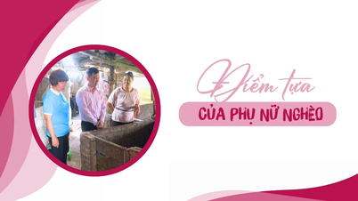 Điểm tựa của phụ nữ nghèo