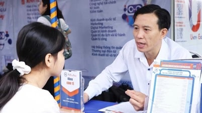 Dos importantes escuelas más suman puntajes IELTS, lo que brinda a los candidatos un "salvavidas" adicional