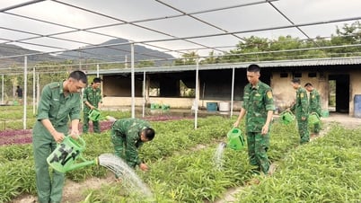 Điển hình trong huấn luyện