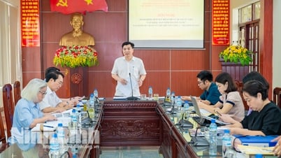Evaluación y revisión del expediente de nominación para el Patrimonio Documental "Inscripciones Han Nom en la Montaña Non Nuoc"