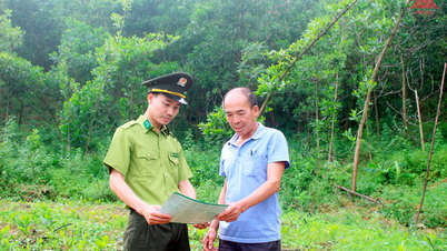 Phuc Yen City prevents forest fires early and from afar