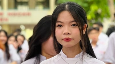 ដោយមិនចាំបាច់ចូល អ្នកនៅតែអាចឃើញពិន្ទុវាយតម្លៃរបស់សាកលវិទ្យាល័យជាតិទីក្រុងហូជីមិញ