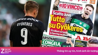 Gyokeres trước cơ hội đổi đời