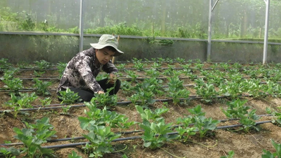 Chuyển đổi số - Tăng nội lực cho các hợp tác xã