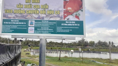 El salmonete y el cangrejo de la Cooperativa Dai Hoa Loc cumplen con el estándar OCOP de 3 estrellas