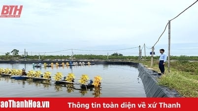 Bảo đảm an toàn trong nuôi trồng thủy sản mùa nắng nóng