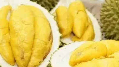 Sầu riêng đông lạnh Việt "rộng đường" vào Trung Quốc