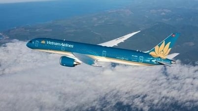 Vietnam Airlines plane diverts to make emergency landing to rescue passengers