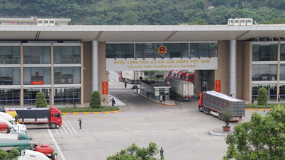 Casi 21 mil toneladas de lichi se exportaron a través del puesto fronterizo de Kim Thanh.