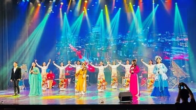 “Tinh hoa văn hoá Việt Nam” đã chạm vào trái tim tôi