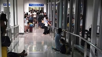 Cục Hàng không yêu cầu làm rõ vụ hành khách 'mắc kẹt' ở Tân Sơn Nhất giữa đêm