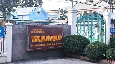 Vĩnh Long: Lãnh đạo phòng GD-ĐT bị kiểm điểm vì xảy ra nhiều vụ bạo lực học đường