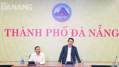 Thúc đẩy cơ hội hợp tác giữa Đà Nẵng và các doanh nghiệp fintech