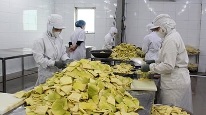 Yên Bái có 126 doanh nghiệp kinh doanh lĩnh vực nông nghiệp