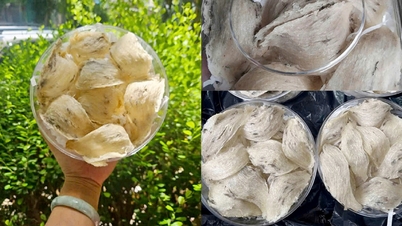 សំបុក​បក្សី​ដែល​មាន​តម្លៃ​ថោក​មាន​គ្រប់​ទីកន្លែង គុណភាព​មិន​ច្បាស់លាស់