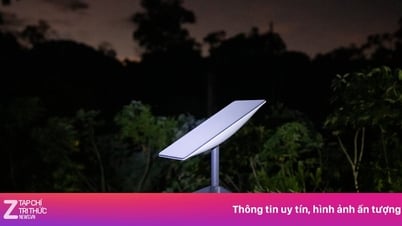 ប្រទេសដែលបដិសេធលោក Elon Musk