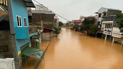 La ciudad de Lang Son está profundamente inundada y hay coches flotando en el agua.