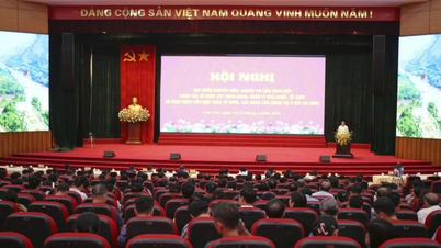 Lào Cai vận hành thử nghiệm 48 đơn vị hành chính cấp xã mới