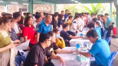 Voluntary blood donation, giving happiness
