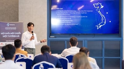 Luật hóa tài sản số: Thách thức gì cho chống lừa đảo?