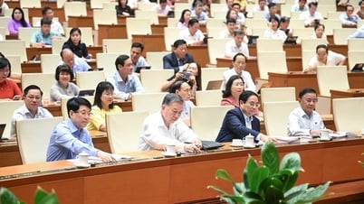 Through the Resolution of the National Assembly amending and supplementing a number of articles of the 2013 Constitution