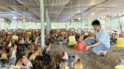 Toàn tỉnh có 2.464 cơ sở di dời, ngưng chăn nuôi