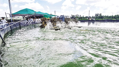 គាំទ្រការផលិត និងអភិវឌ្ឍន៍កសិកម្មប្រកបដោយគុណភាពខ្ពស់