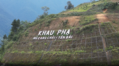 Vẻ đẹp Khau Phạ trong mắt nhiếp ảnh gia Raymond Kuschert