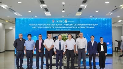 Tập đoàn Cảng Thâm Quyến và Worldex thăm và làm việc với VIMC, thúc đẩy cơ hội hợp tác chiến lược