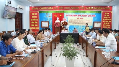 Cho Moi fasst die Tourismusentwicklung in 3 Gemeinden von Cu Lao Gieng zusammen