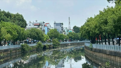 TPHCM ban hành giá dịch vụ thu gom chất thải rắn trên sông, kênh rạch